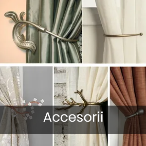 accesorii